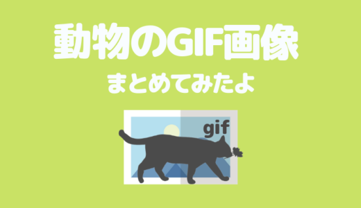 【猫画像④】可愛い「猫のGIF画像」を厳選してまとめてみたよ